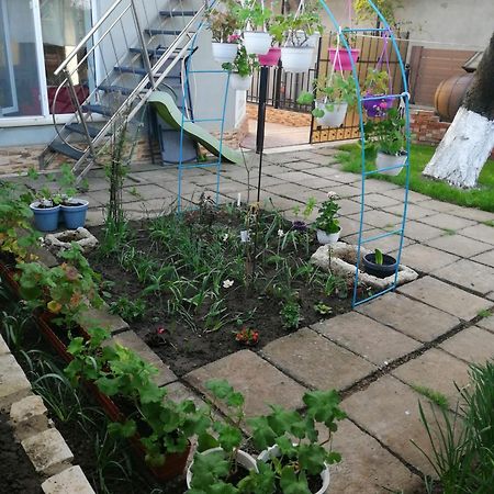 Apartamento Casa Flor Două Mai Exterior foto