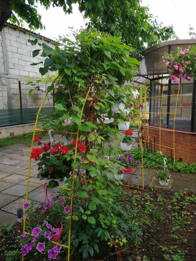 Apartamento Casa Flor Două Mai Exterior foto