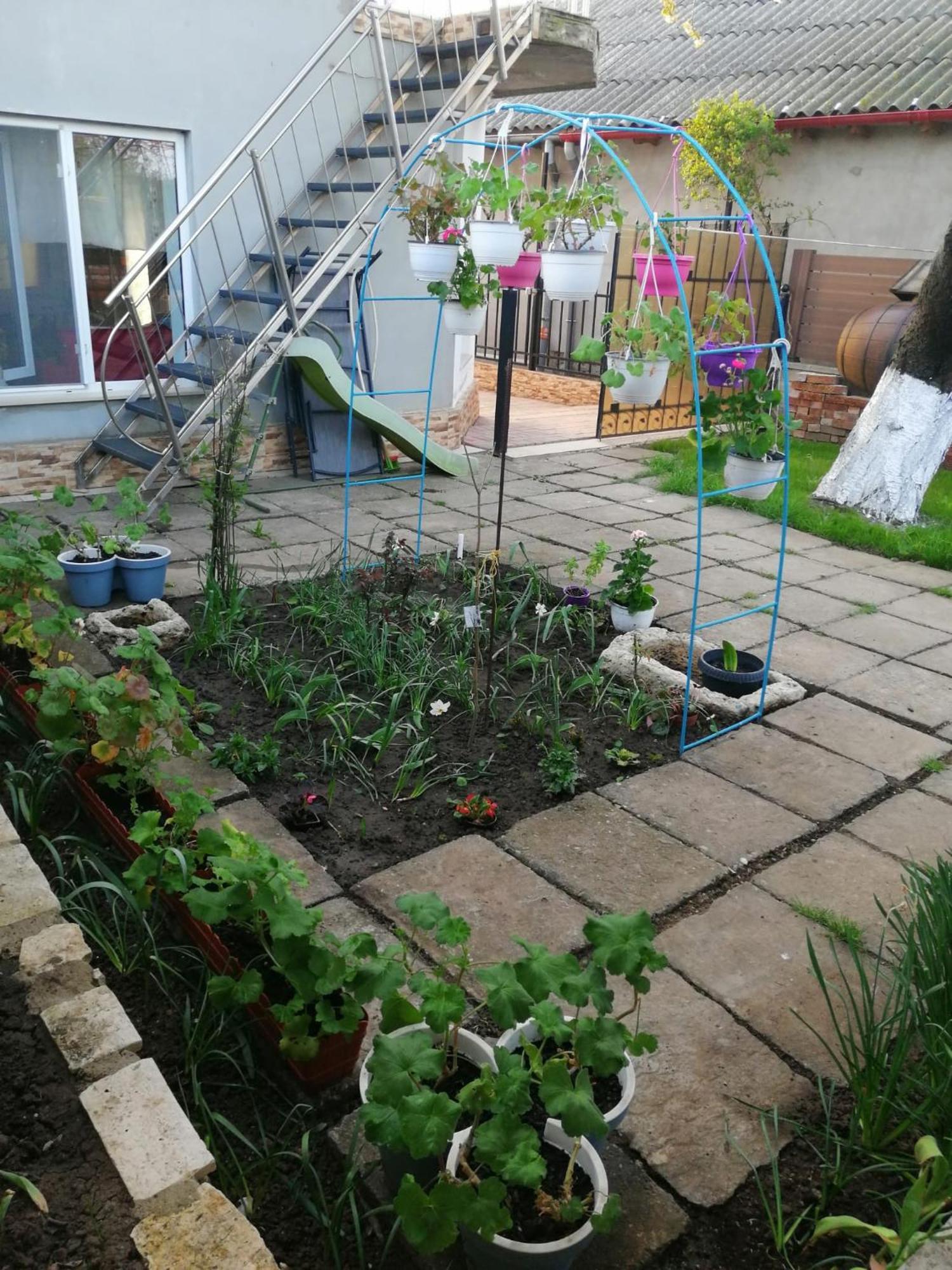 Apartamento Casa Flor Două Mai Exterior foto